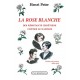 La Rose blanche - Henri Peter 